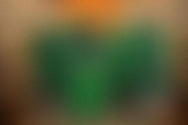 Celebração eucarística marca 10 anos de Dom Reginaldo na Diocese deJales e 86 anos de vida de Dom Demétrio