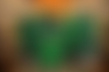 Celebração eucarística marca 10 anos de Dom Reginaldo na Diocese deJales e 86 anos de vida de Dom Demétrio