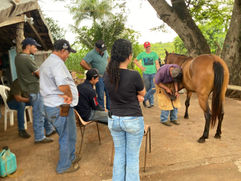 Curso de Equideocultura capacita participantes em casqueamento e ferrageamento com apoio da Prefeitura de Jales
