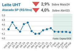 Leite e derivados devem permanecer com queda de preços na entressafra