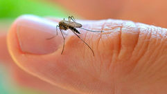 Urânia investiga morte suspeita por dengue