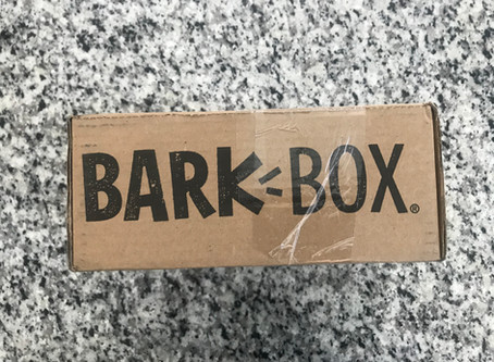 BarkBox Subscription Box