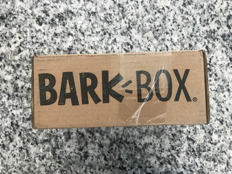 BarkBox Subscription Box