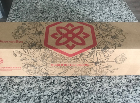 BloomsyBox Review