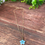 Thumbnail: Blue Flower Necklace 