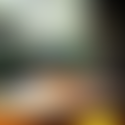 The Story of Dawn & Aquarius