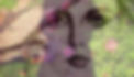 2015-01-09 16.03_edited.jpg