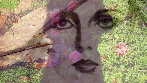 2015-01-09 16.03_edited.jpg