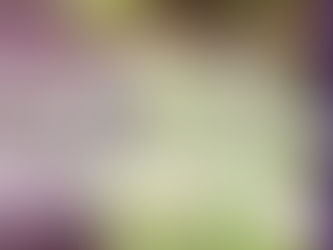 October 6 Libra New Moon: Rebirth The Divine Feminine