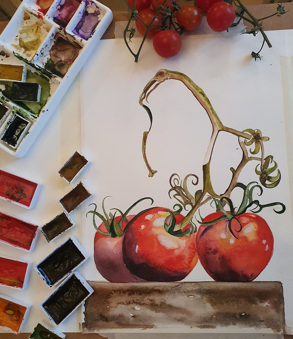 watercolour painting of large red tomatoes on the vine sitting on a wooden chopping block