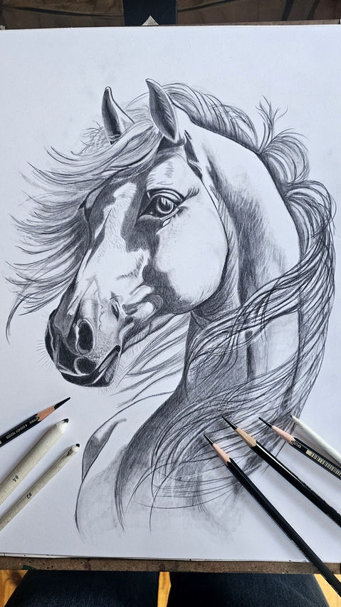 original pencil drawing of a horse