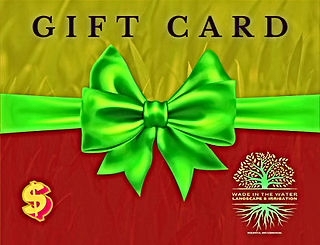Grab A Gift Card!