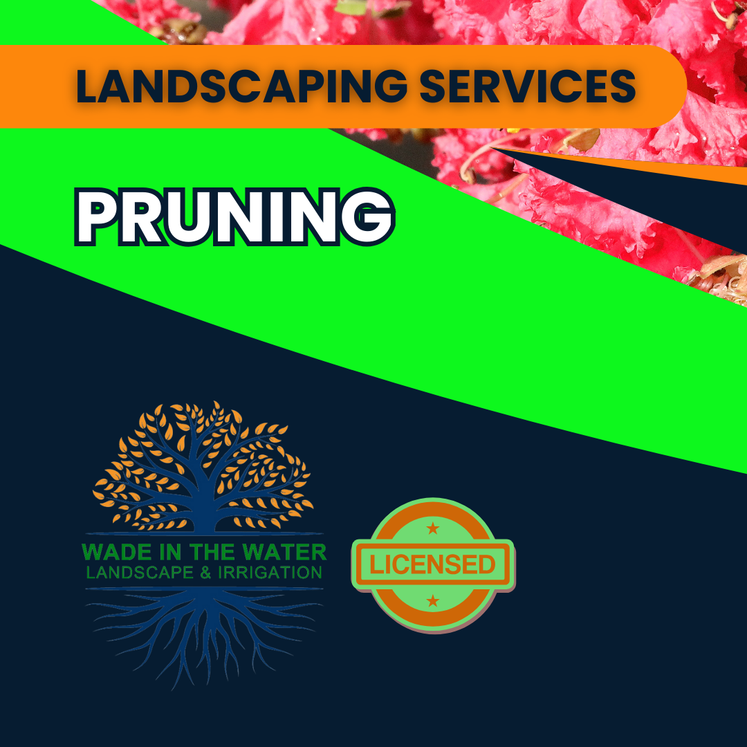 PRUNING | Wade In The Water