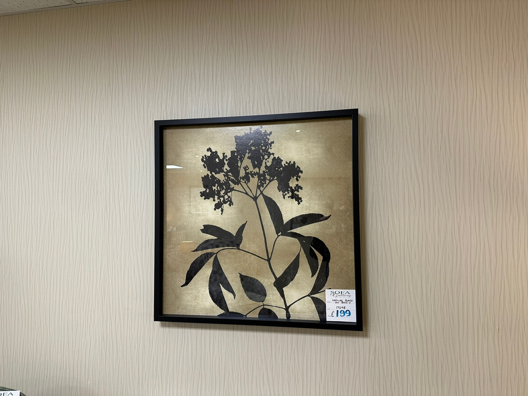 Black and Gold Flower