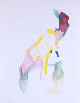 Elisabeth Wedenig, the running dog
