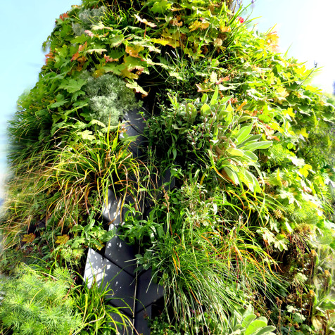 5_PlantPixel (2).JPG