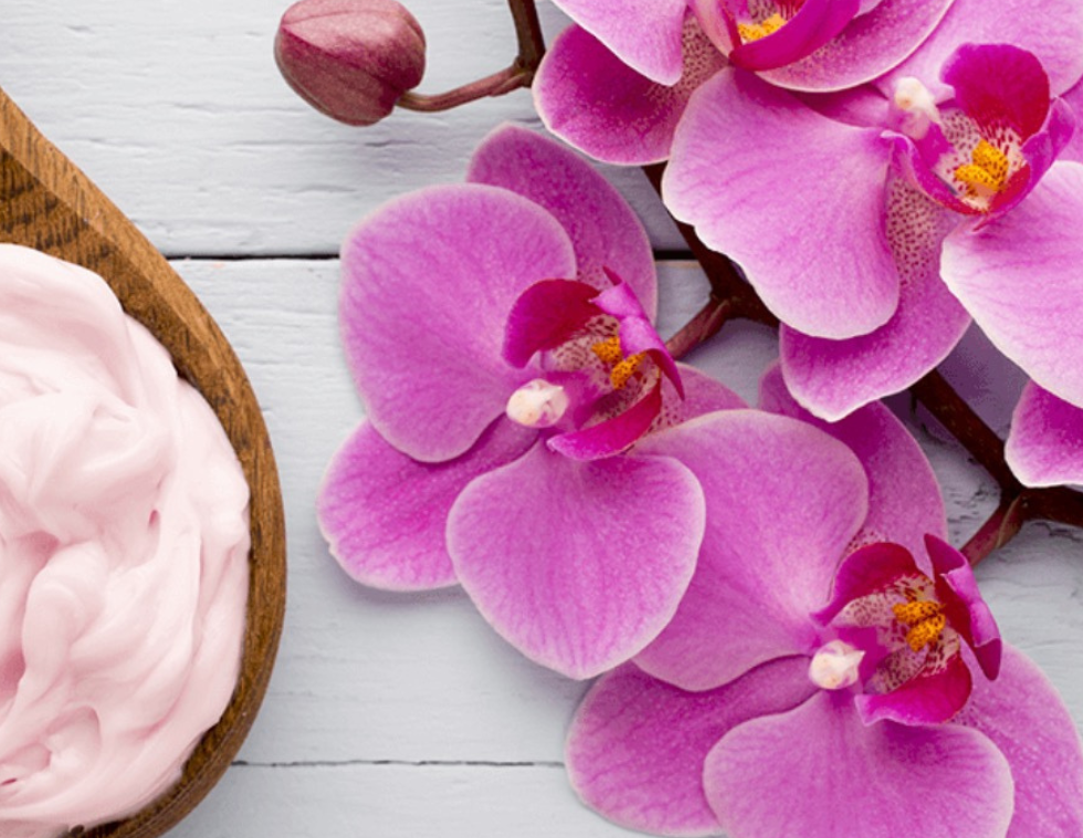 Original Size of Amina Background9 (1).png