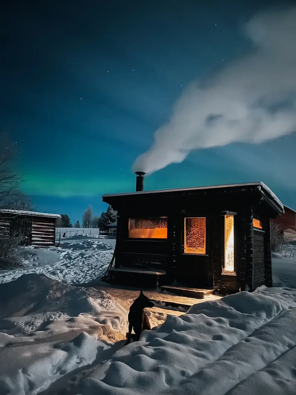 traditional finnish sauna
