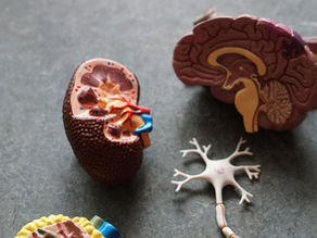 It all happens in vagus