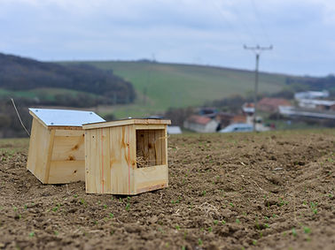 2022_04_Hostěrádky_budky-14.jpg