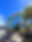 Domex-Courier-2 copy.jpg