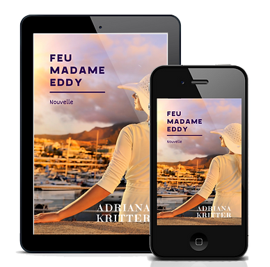 Feu%20MMe%20Eddy%203D%20V3_edited.png