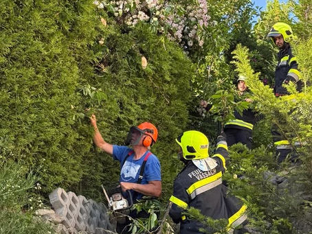 Technischer Einsatz 🧑‍🚒🪵🪚