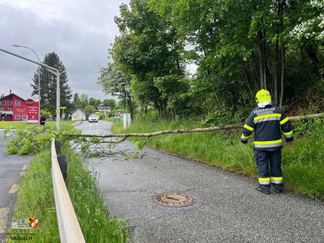 Technischer Einsatz 🌳🪚🚒