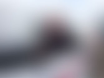 Steve the Bird in the Sky!