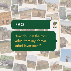 Kenya Safari Guide for US Travelers: Why Custom Beats Packages