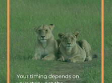Best Time to Visit Kenya: Here's the Real Answer