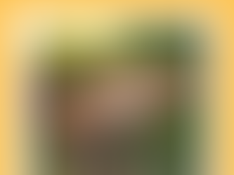 Safari Planning: One Trust Decision vs. A Thousand Unknowns