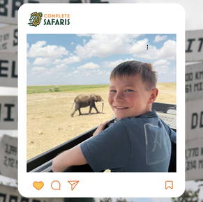 Kenya Safari for Families: A Real Vacation for Parents Too