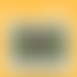 POV: Your question masks the real question