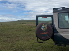 Kenya's Hidden Gem Season: When Safaris Actually Improve