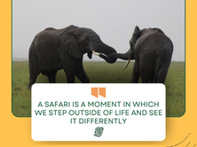 Kenya Safari for Your 50th Birthday Celebration