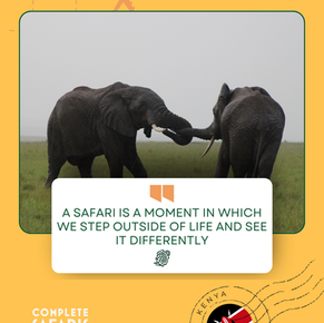 Kenya Safari for Your 50th Birthday Celebration