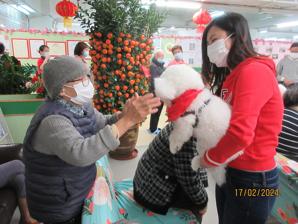 🐶🧧【狗狗賀年.歡樂滿屋】🎊👵👴