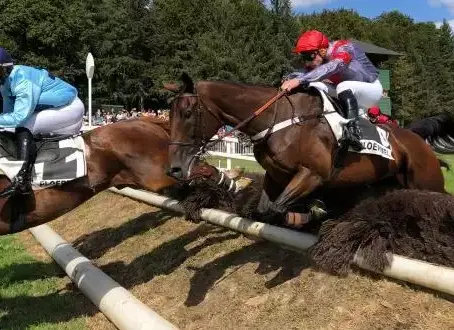 FRANCE GALOP FAIT LA GUERRE AUX COURSES CREUSES