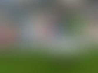 Revalorisation du tarif minima de la monte et frais de déplacement : ce qui a été décidé