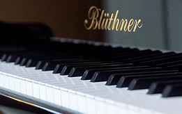 bluthner grand keys and logo.jpg