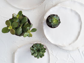 Les bienfaits de la Géobiologie