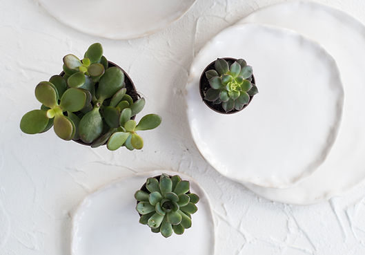 Succulents On Plates