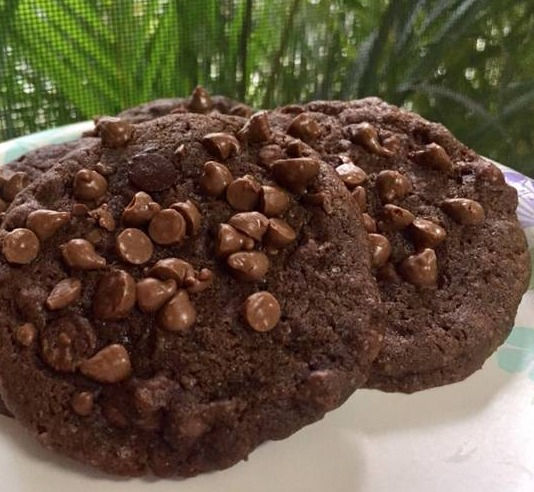 Galleton Doble Chocolate