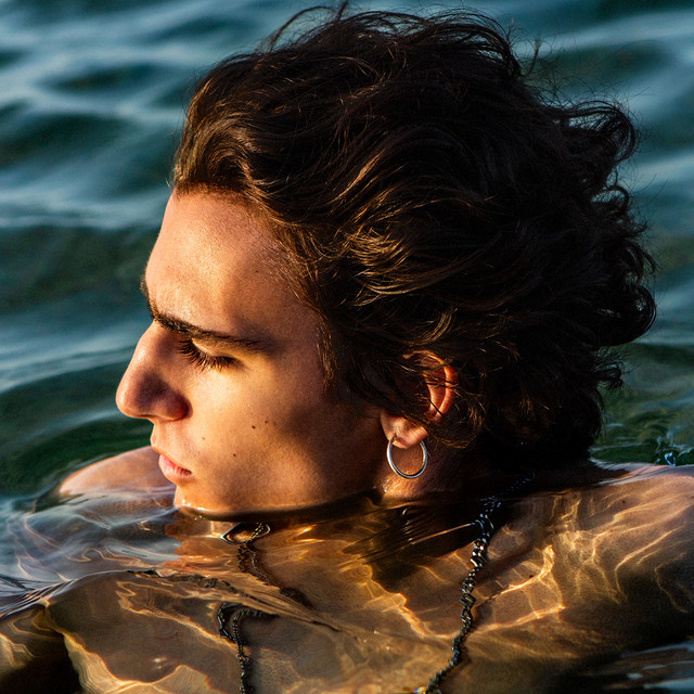 Album cover for Tamino's Amir that includes hits such as 'Habibi' or 'Indigo Night'