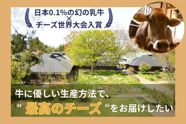 クラウドファンディング開始のお知らせ　国内乳牛の0.1% 希少ブラウンスイスの恵みから生まれるチーズ