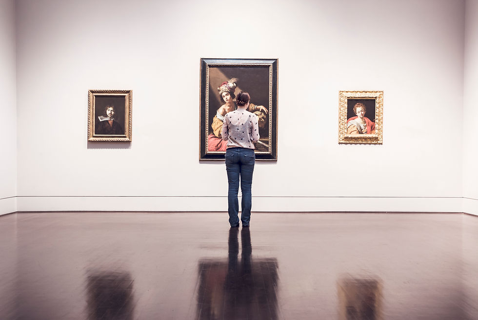Art Gallery Visitor