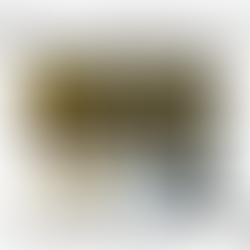 Everwide newsletter No.85