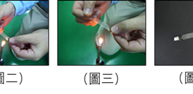 Everwide Newsletter-No.40