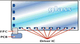 Everwide newsletter No.91